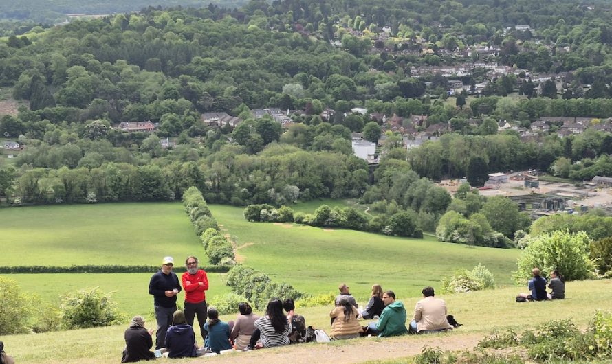 SLC Walk 2025: Box Hill