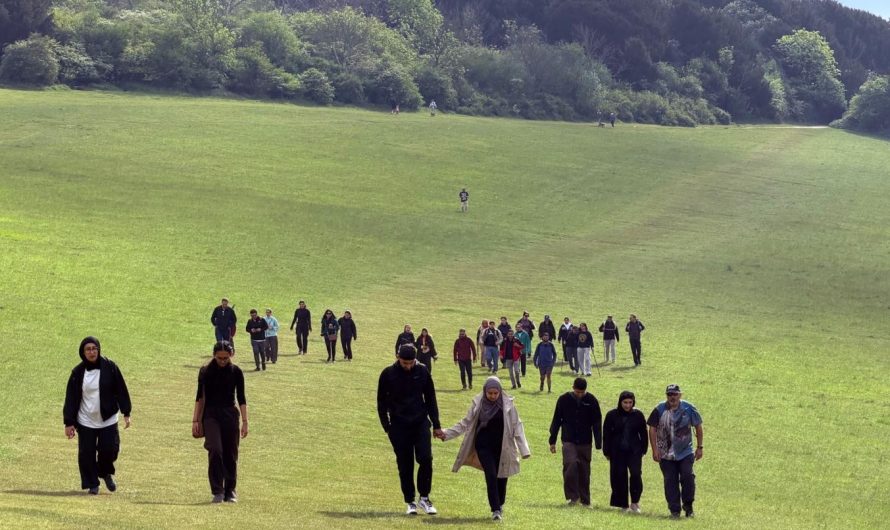 Surrey Hills Walk 2026